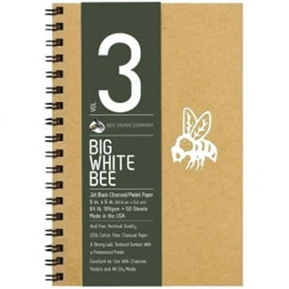 Bee Paper - 9 x 12 Mixed Media Artist Sketchbook, Spiral Bound, 120  Sheets, 114 lb. 185 GSM Paper