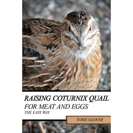 Raising Coturnix Quail for Meat and Eggs: the easy way -