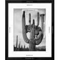 thumbnail image 3 of View Of Cactus And Surrounding Area "Saguaros Saguaro National Monument" Arizona 1933-1942, Botanical World Culture Framed Art Print Wall Art by Ansel Adams Sold by Art.Com, 3 of 6