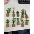 thumbnail image 2 of Fridge Magnet Plastic Plant 10PCS Refrigerator Magnet Miniature Succulent Decor, 2 of 4