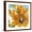 Brown Frame, variant on Art.com Amber Gold I Stretched Canvas Print Wall Art by Chris Paschke, 24" x 24"