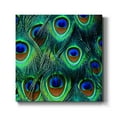 thumbnail image 1 of All For Show-Premium Gallery Wrapped Canvas - Ready to Hang, 1 of 3
