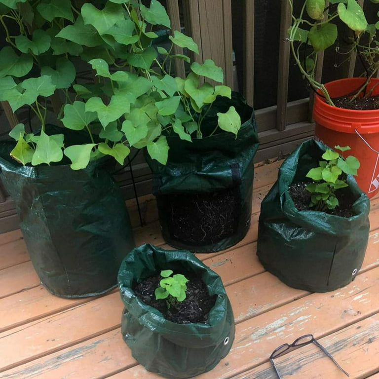 Potato Grow Bags, 4 Pack 10 Gallon with Flap and Handles Planter