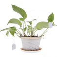 thumbnail image 3 of 100 Uds etiquetas de flores de vivero etiquetas de árbol de flores de PVC duraderas accesorios de jardinería Hugtrwg Para estrenar, 3 of 6