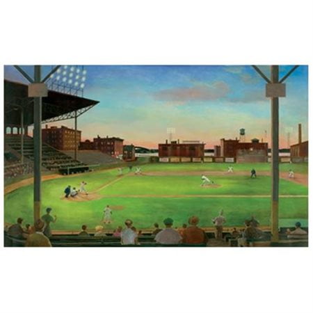 York Wallcoverings York Kids IV Under The Lights Full Wall Mural