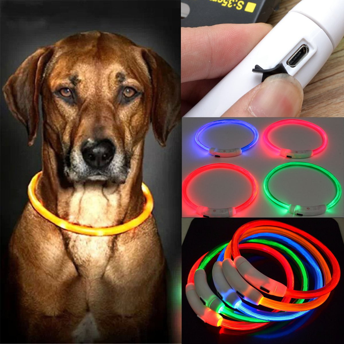 LED Rechargable Flashing Dog Collars Light up  So Your Pet  Can Be Seen At Night 