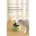 thumbnail image 4 of Dog & Cat Food Bowl Non-Slip Wide Shallow Pet Dish for Whisker Fatigue Relief Plastic Raised Tilted 15 Degrees Elevated for Cats and Small Dogs (Green & Steel Bowl), 4 of 9