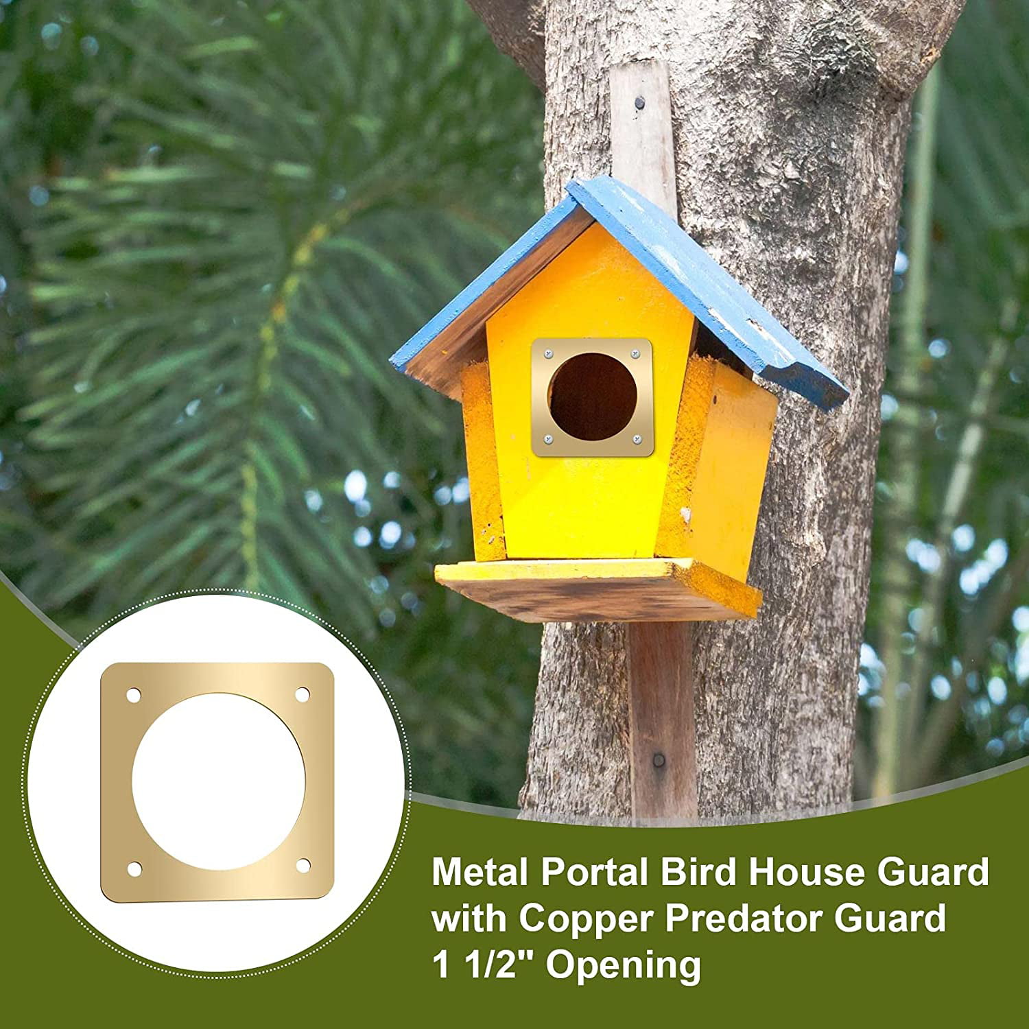 Metal Portal Bird House Guard Copper Portal for Eastern Bluebird Houses 1 Ope... 