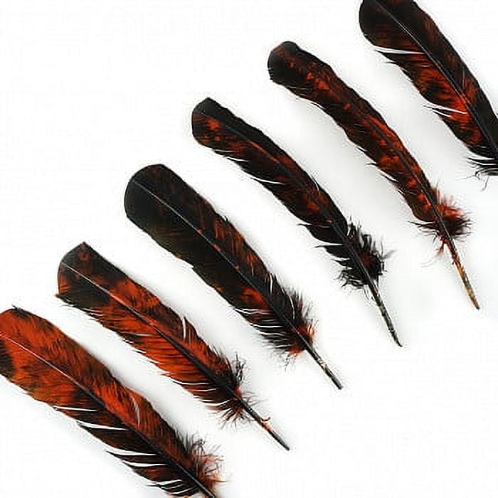 Turkey Feathers, 8-12, Dyed, per pack of 100 – Schuman Feathers