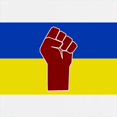 thumbnail image 3 of CafePress - Ukrainian Flag With Fist Sweatshirt - Kids Hooded Sweatshirt, Classic Hoodie, 3 of 4