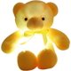 thumbnail image 1 of Osito de peluche LED, juguete luminoso colorido para niños y adultos, regalo de cumpleaños, 1 of 4
