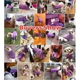 thumbnail image 5 of Pet clothing Autumn/winter warm two-legged hoodie dog clothing, 5 of 5