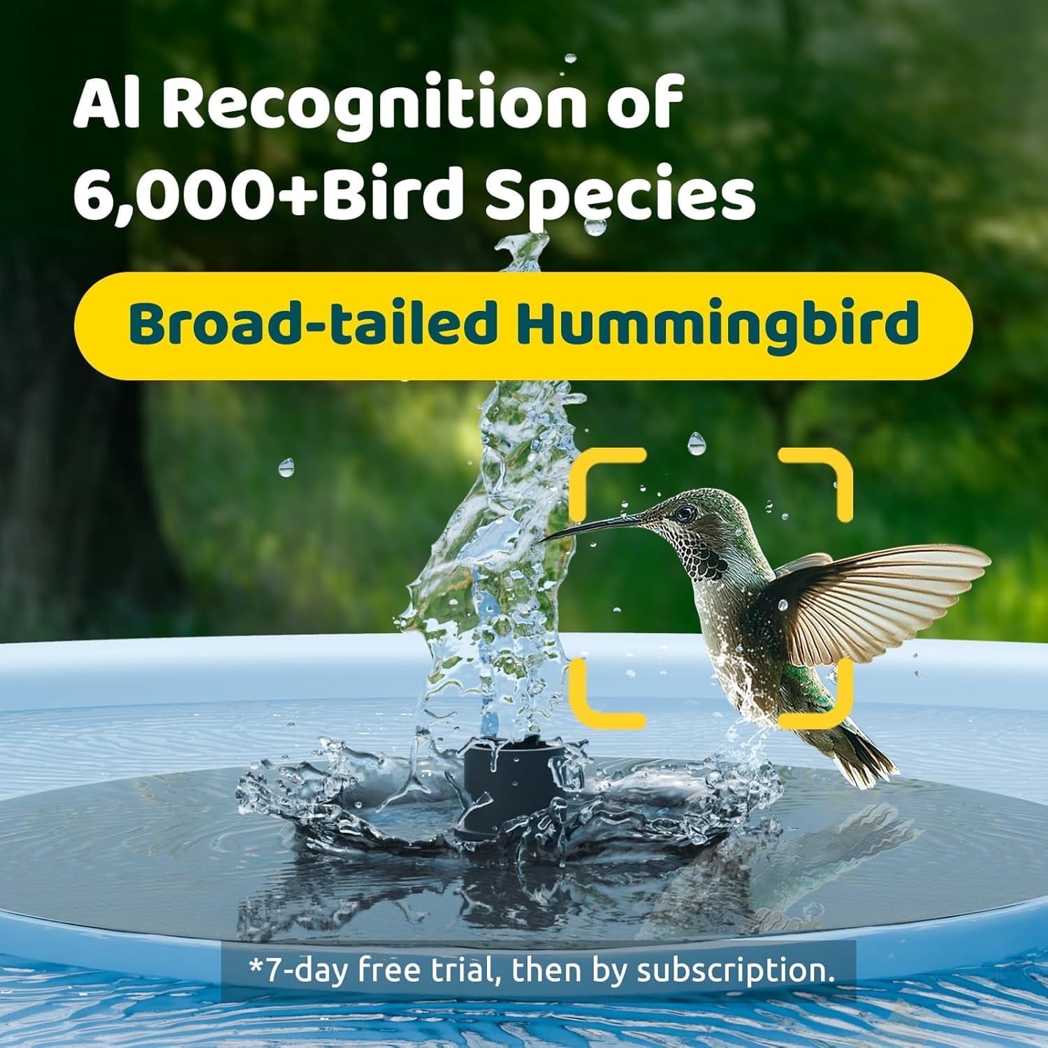 Birdfy Bird Bath with Camera, Solar Powered, Round Pond Fountain, 1080P HD Bird Camera Auto Capture Bird Bath Videos, Blue