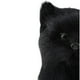 thumbnail image 3 of bien caballo sintética / gato animal modelo s Zulema Estatua de animal realista, 3 of 7