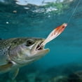 thumbnail image 1 of Klonfd Soft Squid Hook Enhances Your, 1 of 4