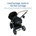 thumbnail image 4 of Maxi-Cosi Oxford Modular Stroller, 4 of 9