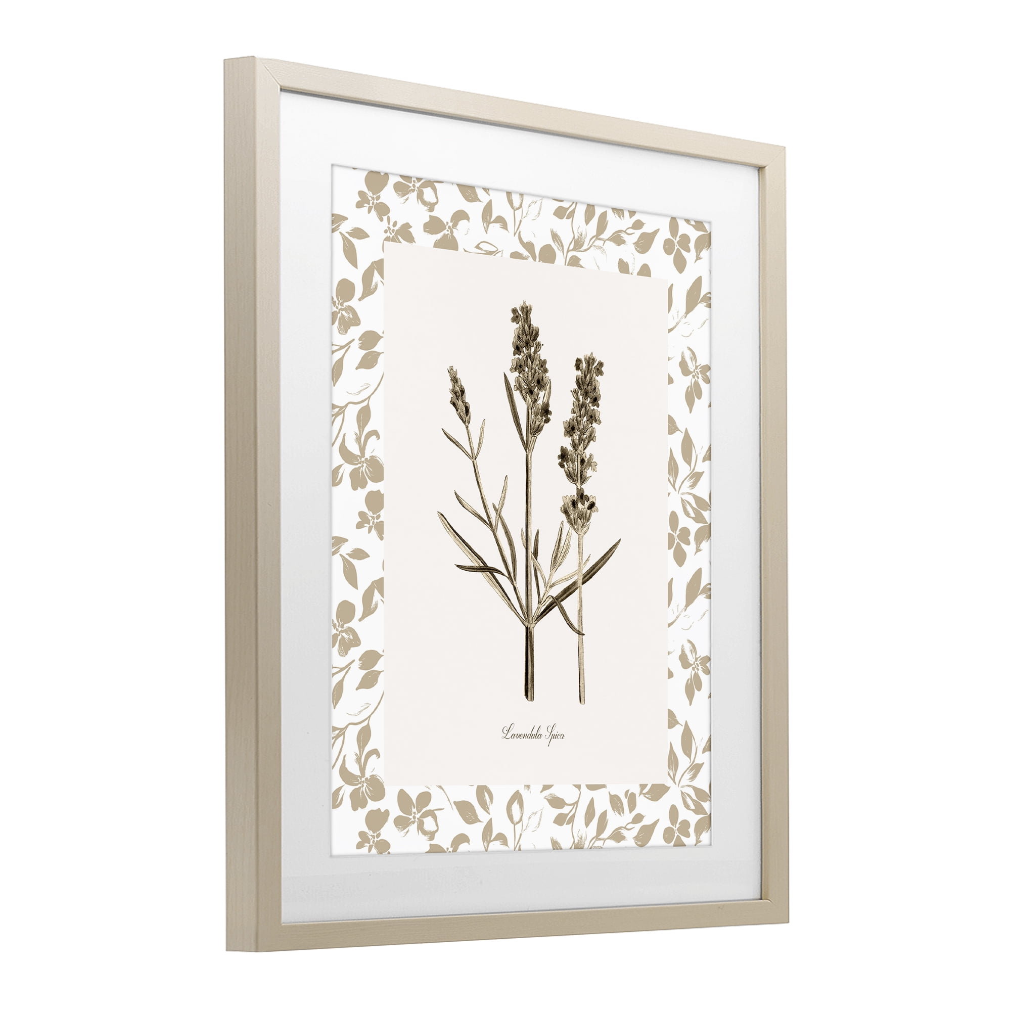 Stupell Industries Neutral Imperial Herb Study Birch Framed Print Under Glass, design by Kelly Donovan