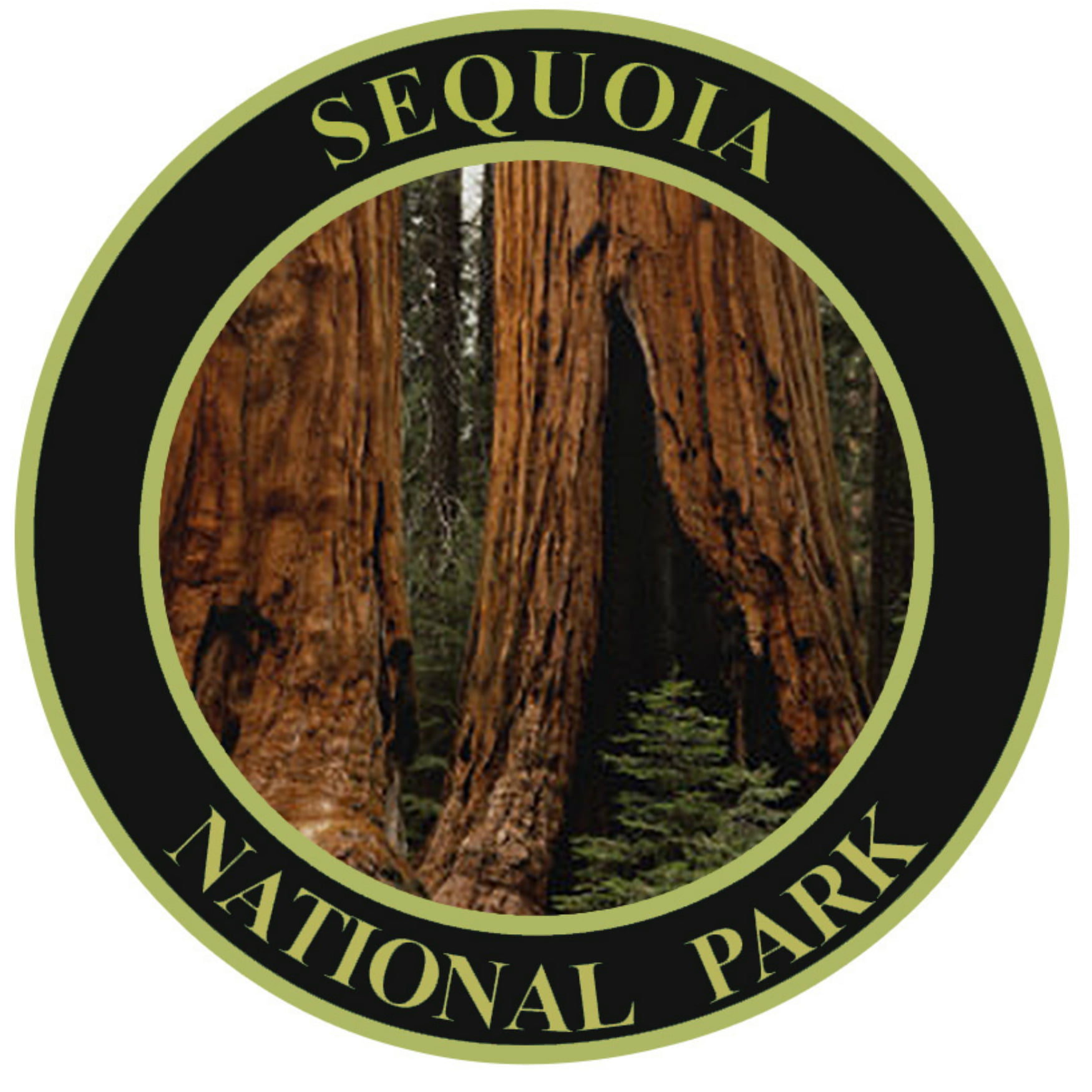 Hiker 3.5" Embroidered Iron or Sew-on Patch Sequoia National Park California 