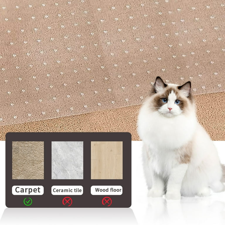 Cat keeps scratching carpet by door 2025