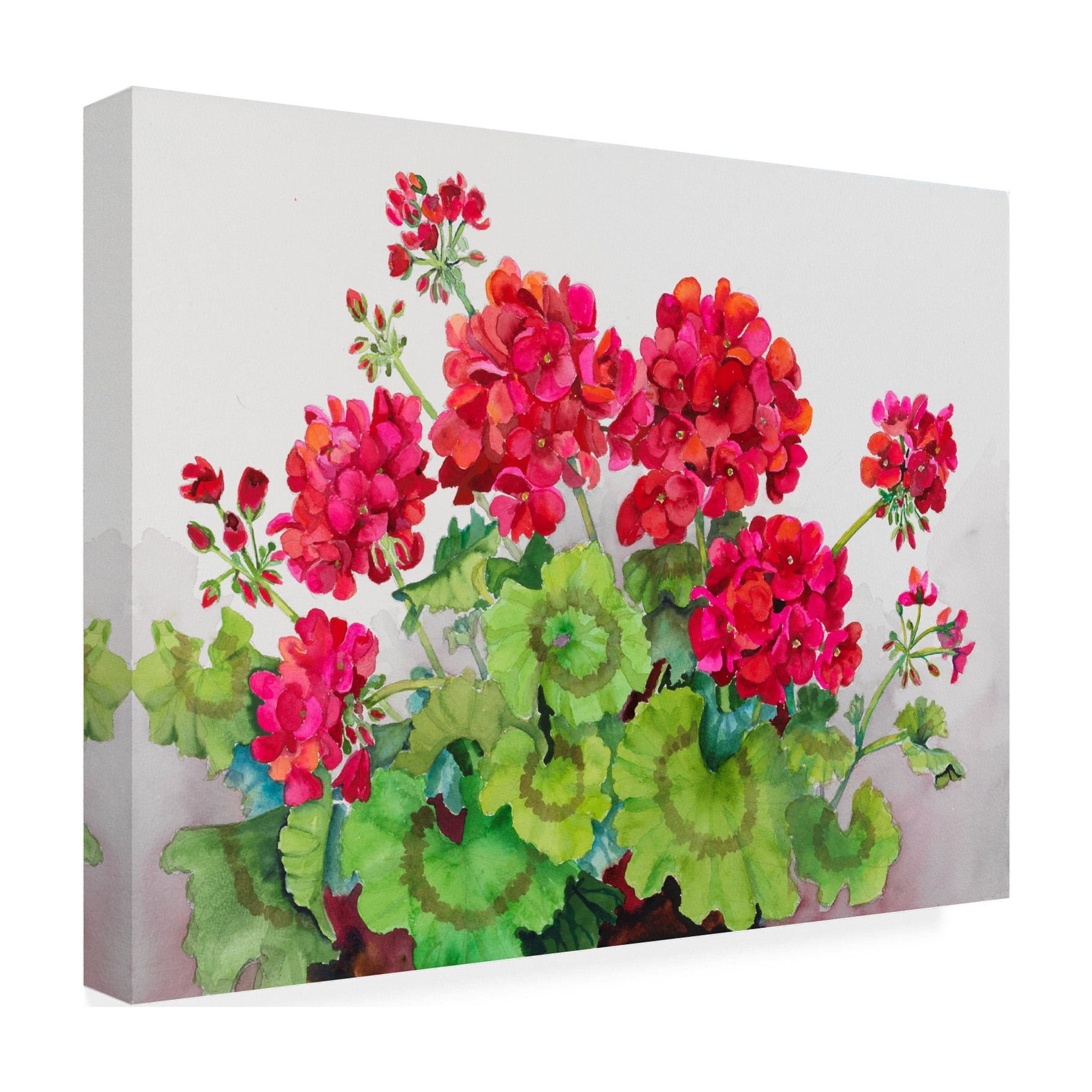 Trademark Fine Art Joanne Porter Red Geraniums Canvas Wall Art - 35x47