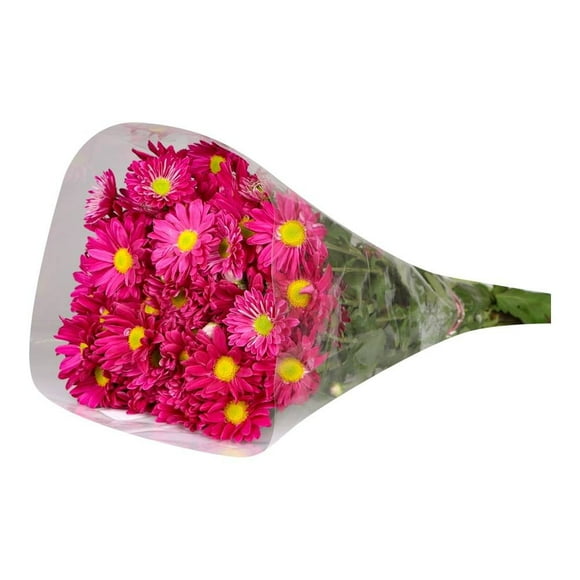 Bouquet de pompon mixto 10 tallos