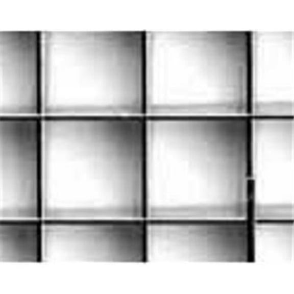 Plaskolite 1199234A Egg Crate Lighting Diffuser - Silver, Pack Of 15