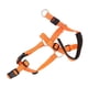 thumbnail image 1 of Protector de Bozal para Perro, Correa Ajustable, Cubierta para la Boca del Perro, Collar Antimorduras, Arnés para la la Cabaza de Perro Para Perros Pequeños, Medios y Grande,, 1 of 7