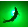 thumbnail image 3 of Green Blob Outdoors Green 12V Underwater Fishing Light, Boat Lighting with Special Polymers 15000 Lumen, 3 of 41