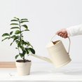 thumbnail image 1 of 2x 2L Garden Watering Can Long Mouth for Plants Garden Kettle Baoblaze none, 1 of 8
