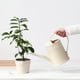 thumbnail image 1 of 2x 2L Garden Watering Can Long Mouth for Plants Garden Kettle Baoblaze none, 1 of 8
