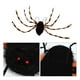 thumbnail image 3 of 1 mochila de araña de simulación para decoraciones de Halloween., 3 of 3