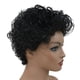 thumbnail image 1 of Peluca rizada afro pa res de de exterior exterior exterior , pelucas con rto , Cosplay negro Colcomx Peluca corta rizada, 1 of 5