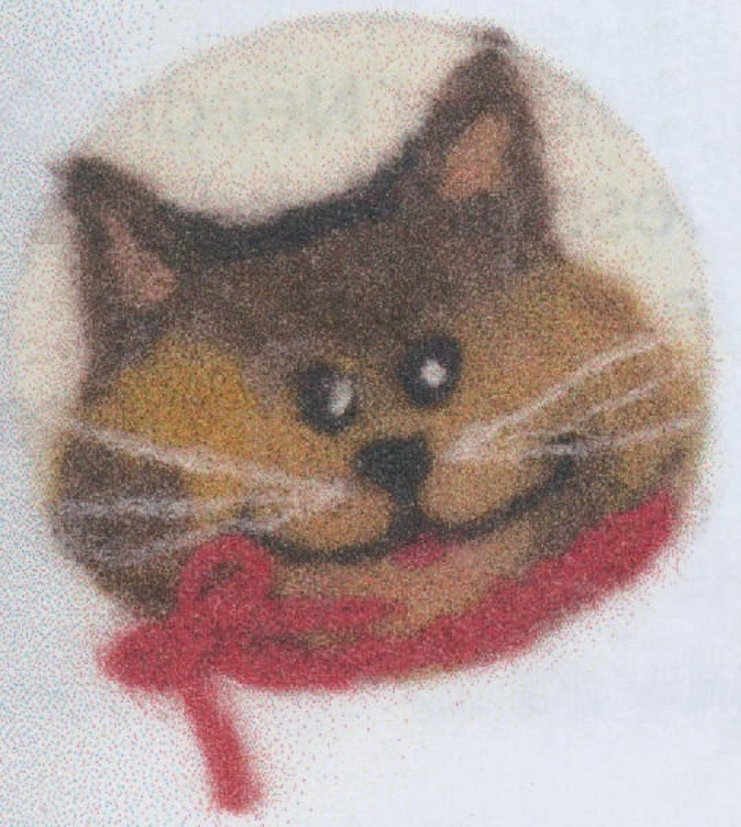Colonial Needle Felting Starter Kit