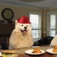 thumbnail image 2 of Sombrero de vaquero para mascotas, para gatos y perros, decoración para fiestas, 2 of 8