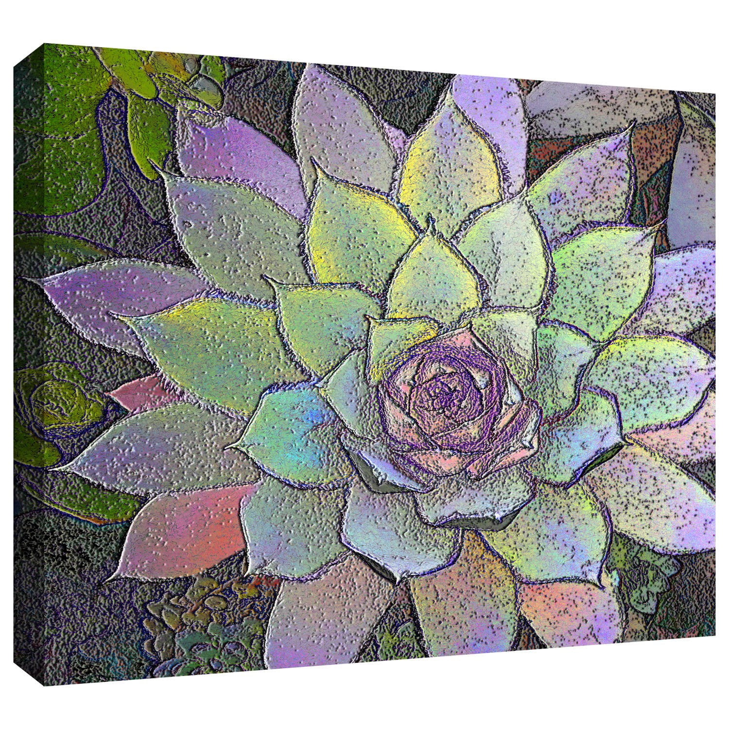 Dean Uhlinger "Arco Iris Suculento" Gallery-Wrapped Canvas