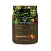 PlantFusion Complete Meal Vegan Protein Powder, Chocolate Caramel, 20g Protein, 1.0lb, 16.1oz