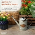 thumbnail image 6 of Alpine Corporation 15" x 7" x 12" Rustic Metal Watering Can Décor, Silver, 6 of 13