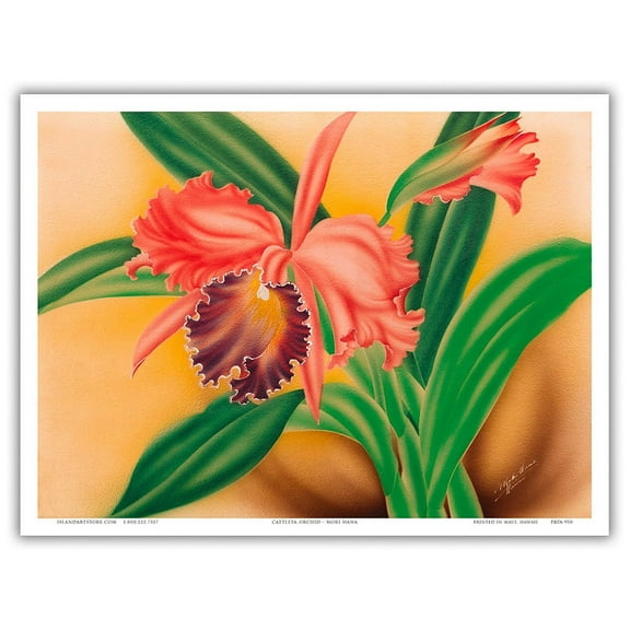 Pink Cattleya Orchid Hawai’i - The Queen of Orchids - Vintage Hawaiian Airbrush Art by Moki Hana c.1930s - Master Art Print (Unframed) 9in x 12in