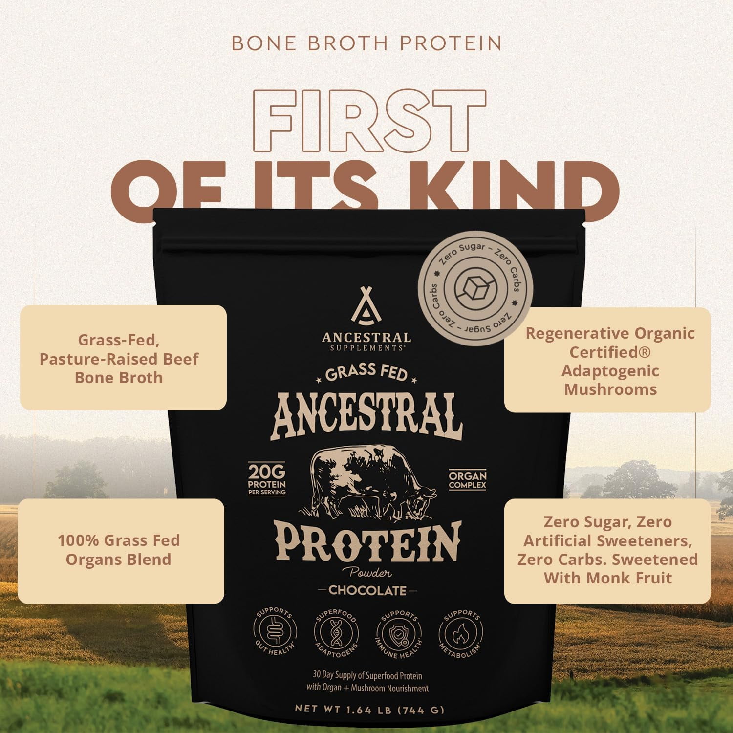 Ancestral Supplements Beef Bone Broth Protein Powder with Beef Organs & Organic Mushrooms, High Protein Supplement, Chocolate Flavor, 20g Protein Per Serving