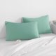 thumbnail image 2 of Ntbay King Juego De 2 Fundas De Almohada De Microfibra Cepillada De 20 X 36 Pulgadas, Fundas De Almohada Suaves, Resistentes A Las Arrugas, Resistentes A Las Manchas, Color Verde Menta Con Cierre De S, 2 of 5