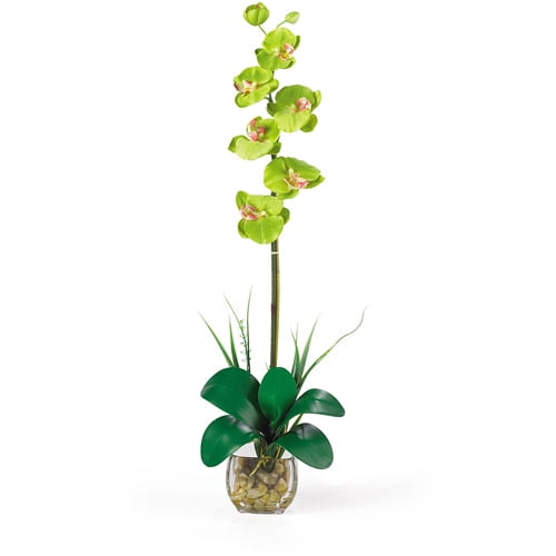 Nearly Natural Single Phalaenopsis Liquid Illusion Silk Flower Arrangement, Green