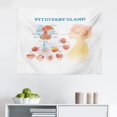 thumbnail image 1 of Anatomy Tapestry, Lungs Structure Bronchi Parts Biology Plain Background, Fabric Wall Hanging Decor for Bedroom Living Room Dorm, 2 Sizes, Pale Peach Baby Blue, by Ambesonne, 1 of 1