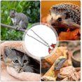 thumbnail image 5 of 38cm Extra Long Reptile Food Tongs - Snake Feeding Tongs for Terrarium & Aquarium - Ideal Supplies for Pythons, Corn Snakes, Axolotls & Bear, 5 of 5