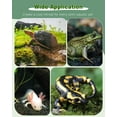 thumbnail image 5 of VNEKVA Turtle Floating Basking Platform, Turtle Tank Accessories with Feeding Area, Reptile Climbing Dock for Aquatic Pets, 5 of 9