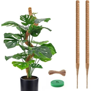 Moss Pole | Walmart Canada