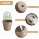 thumbnail image 5 of 20 macetas biodegradables con cúpula de humedad, 2,3 pulgadas, 5 of 5