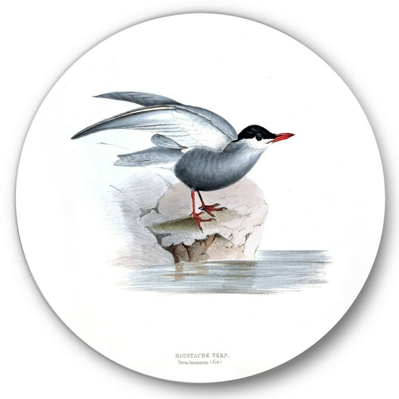 Designart 'Ancient Bird Of Europe I' Traditional Circle Metal Wall Art 36x36 - Disc of 36