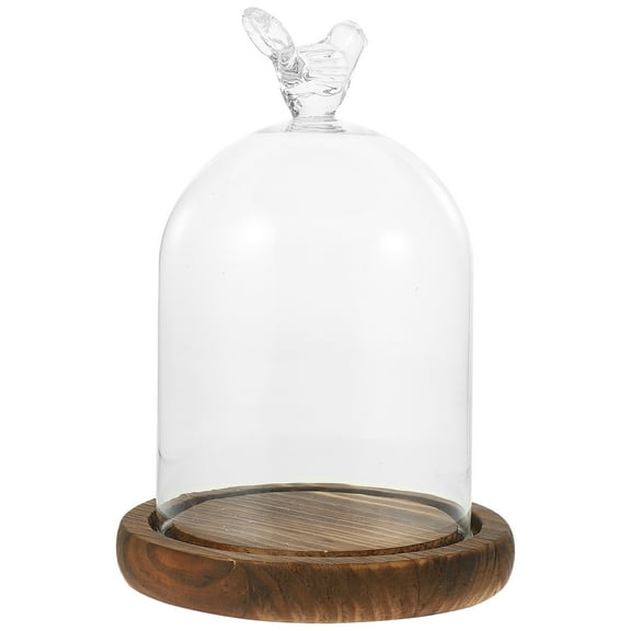 2 Count Glass Dome with Base Mini Cloche Cake Preserved Flower Cover Food