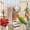 White, variant on Automatic Bird Feeder with Seed Hull Separator, Spill-Resistant Hanging Food Container for Parakeets, Cockatiels and Other Small Birds, Cage Feeding Accessory, Blue
