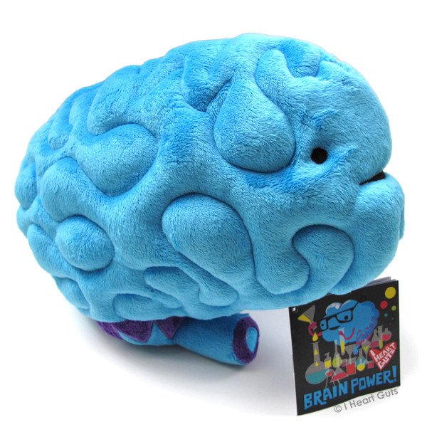 brain stuffed animal
